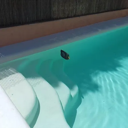 Mar Y Montana Privado Con Piscina No Cocina Bed & Breakfast *