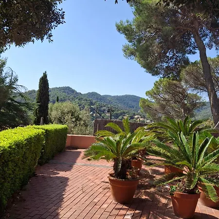 Apartament Les Alzines Piscina Privada! No Cocina Orrius
